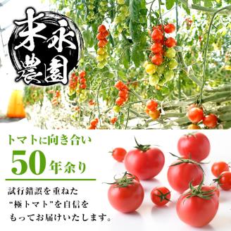 i709 ＜定期便・計3回(連続)＞極トマト おまかせセット(ミニトマト・大玉トマト)＜2kg以上×3回・総計6kg以上＞定期便 ミニトマト 大玉トマト 野菜【末永農園】