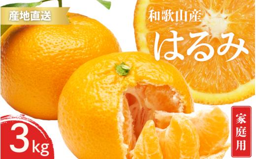 【先行予約】訳あり ご家庭用 はるみ 和歌山 有田 S～3Lサイズ 大きさお任せ 3kg【1月下旬～3月下旬までに順次発送予定】/ みかん フルーツ 果物 くだもの 蜜柑 柑橘【ktn048】