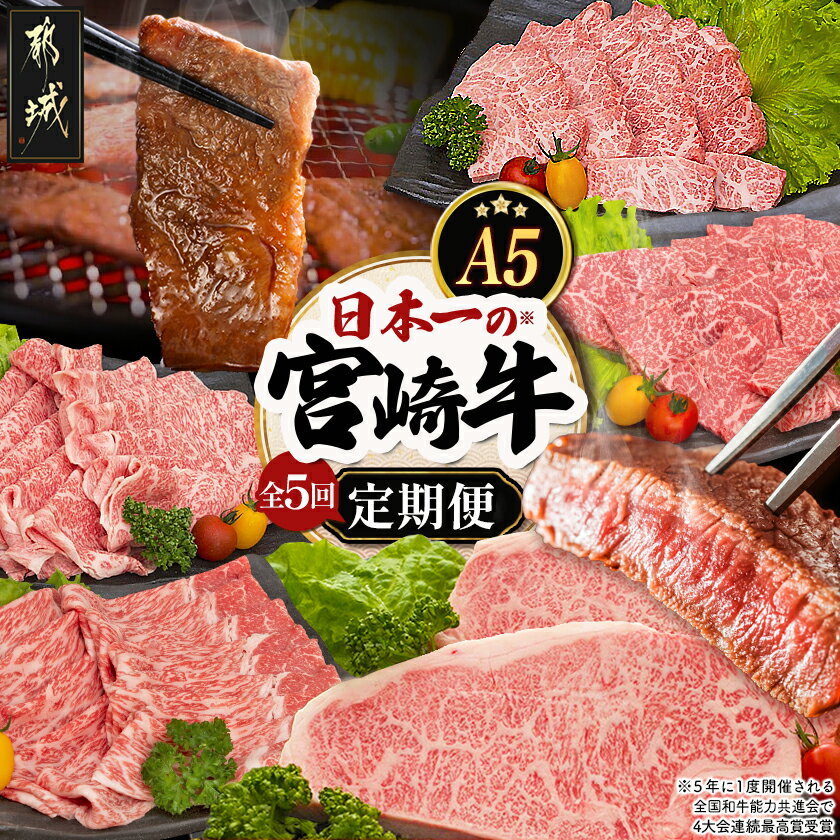 【ふるさと納税】日本一の宮崎牛定期便【毎月29日は都城のお肉でお肉時間】 - 全てA5ランク 全て宮崎牛 特選カルビ焼肉用/牛モモスライス肉/牛モモ焼肉/牛リブローススライス/牛サーロインステーキ 送料無料 T105-5-A001【宮崎県都城市】
