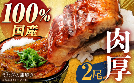 国産うなぎ蒲焼き2尾 HBV001 うなぎ 蒲焼 国産