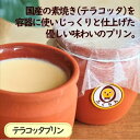 【ふるさと納税】テラコッタプリン〔6個〕 国産の素焼き容器を使い、じっくりと仕上げた手作りプリン 【 プリン スイーツ お菓子 神奈川県 南足柄市 】