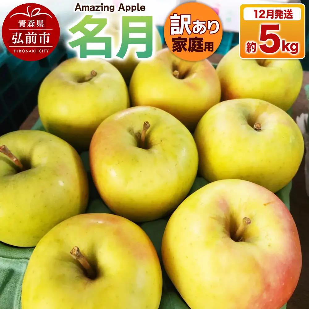 【26年12月発送】りんご 名月【訳あり】家庭用 約5kg 先行受付