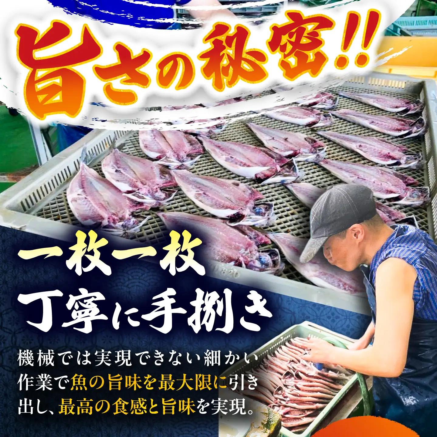 訳あり 干物 真アジの干物 1.4kg（20枚前後） [AKCX013]
