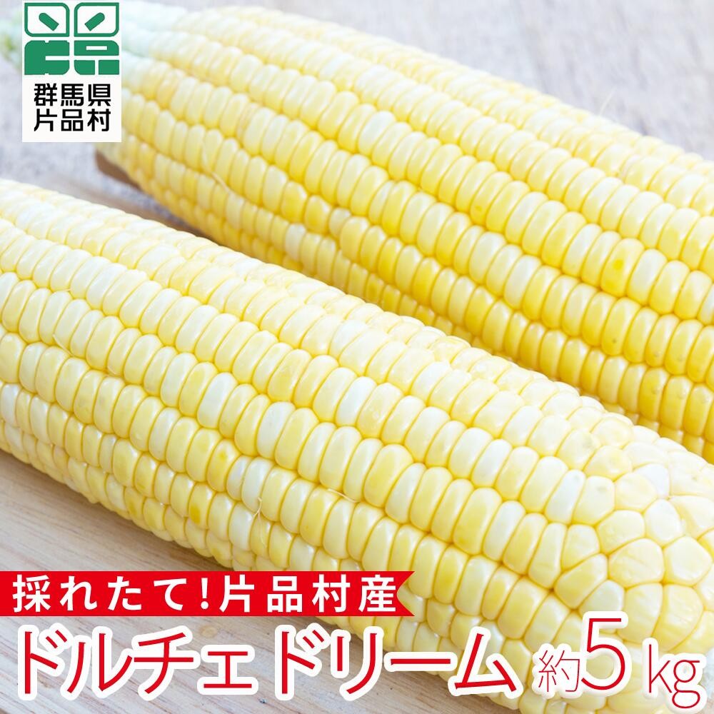 
                  片品村産とうもろこし (品種：ドルチェドリーム) 1箱 約5kg とうもろこし ドルチェドリーム スイートコーン 片品村 トウモロコシ
                