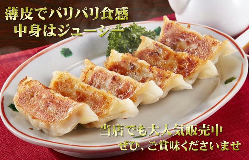 【期間限定】生餃子 50個セット【小分け 10パック 甘いと評判 松波キャベツ使用 冷凍餃子 焼くだけ 人気 惣菜】 010B1538