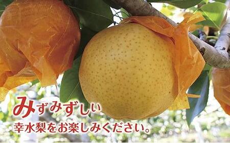 《先行予約》いわき市産梨　幸水5kg（約11～15個）
