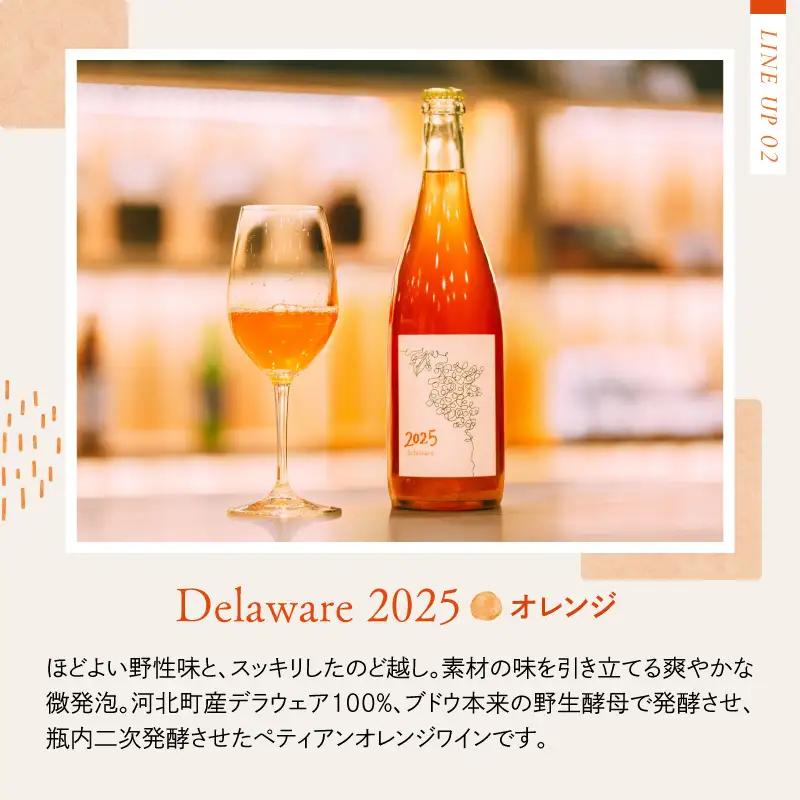 ワイン 2025 赤オレンジ 2本飲み比べセット 各750ml ワイン ka019-316j-2025