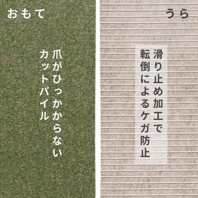 ふるさと納税 和泉市 水が転がる程の撥水性!撥水ペットマット「UKU」10枚セット グリーン |  | 02