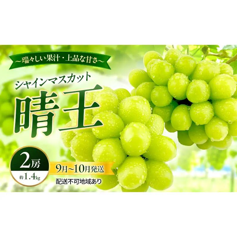 ぶどう 2026年 先行予約 シャインマスカット 晴王 2房 約1.4kg 9月～10月発送 岡山県産 シャインマスカット