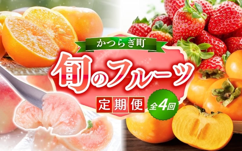 
                  【定期便4回】旬の フルーツ定期便 / はれひめ みかん いちご まりひめ 桃 秀品 柿 種無し フルーツ 定期便 ふるーつ定期便 フルーツ 詰め合わせ 果物定期便 春フルーツ 夏フルーツ 秋フルーツ 冬フルーツ 産地直送【kgr025】
                