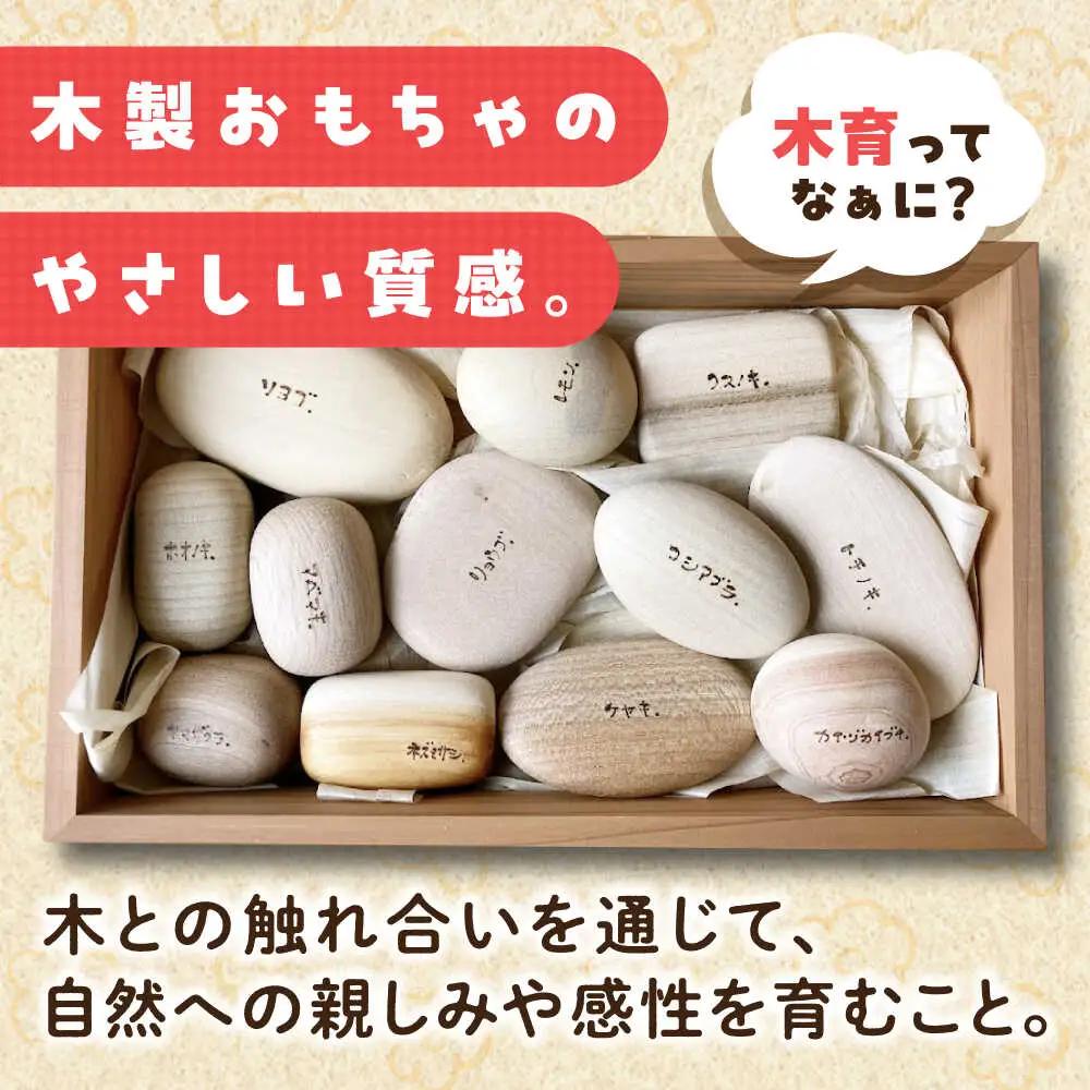 おもちゃ 12樹種セット[APAL015] おもちゃ