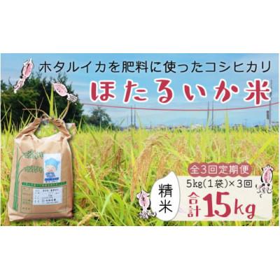 ふるさと納税 滑川市 【毎月定期便】ほたるいか米　精米　5kg全3回