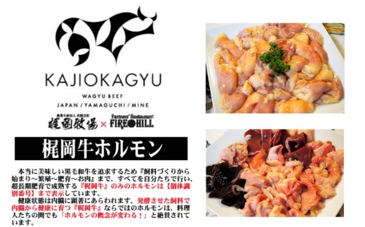 ( 梶岡牛 ) ホルモン  ・ ミックス  500g 真空パック ｜  国産梶岡牛 希少 ホルモン ぷりぷり 食感 濃厚 旨み 焼肉 もつ鍋 もつ モツ 冷凍 特産品 山口 美祢 美祢市