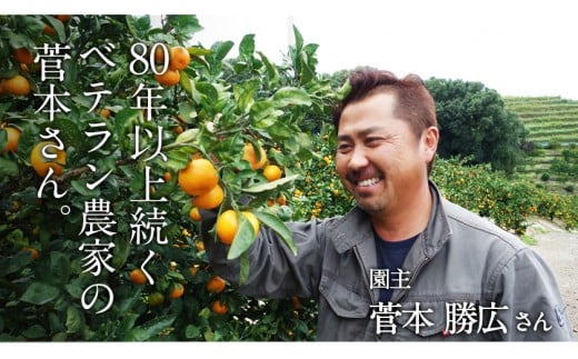『菅本果実園』のみかん約5kg(2S-Lサイズ) 菅本さんのみかん『菅本果実園』《11月中旬-1月中旬頃出荷》【日付指定不可】---gkt_sgm_8_5kg---