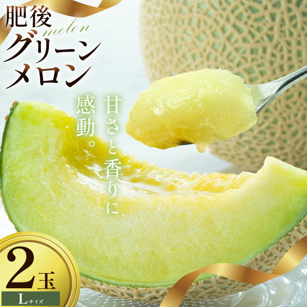【ふるさと納税】【先行予約】 メロン 肥後グリーンメロン 中 Lサイズ 2玉 約1.4〜1.6kg×2 MOTOYAMA358FARM 《2026年4月中旬-6月中旬頃出荷》 熊本県 菊池市 メロン 果物 フルーツ 九州産 国産 送料無料
