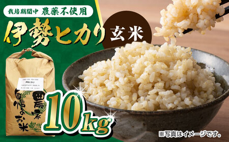 栽培期間中農薬不使用 令和7年産 伊勢ヒカリ 玄米 10kg /鶴ノ原北川農園 [UDL007] 玄米