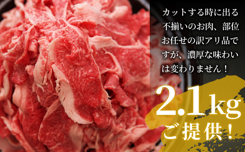 【最短翌日発送】 飛騨牛 切り落とし 2.1kg (700g×3P) 訳あり 牛肉 和牛 肉 お肉 切落し 不揃い にく 切り落し 東白川村 ブランド牛 国産 人気 おすすめ 薄切り きりおとし 岐阜