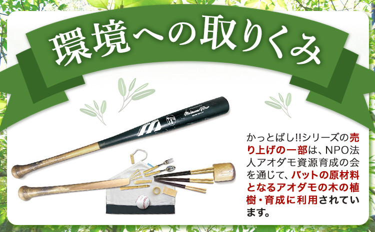かっとばし!!　プロ野球球団マーク入り箸　1膳入り　埼玉西武ライオンズ【X018】