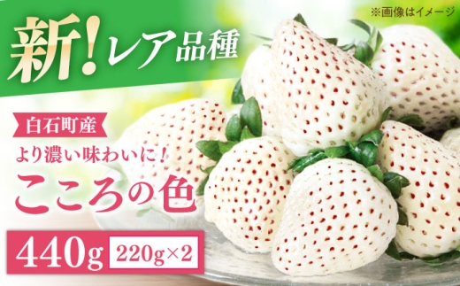 【先行予約 2027年1月～発送】【幻の白いちご】 こころの色 220g×2パック 【StrawberryFarm-K】  佐賀県 白石 [IBJ010]