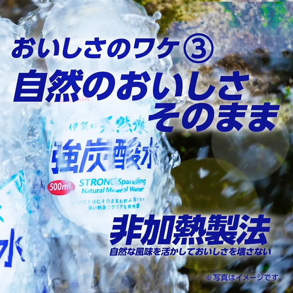 炭酸 サンガリア 伊賀の天然水 強炭酸水2ケース （1L×24本） 【igge0002】