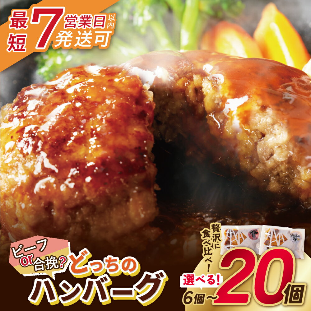 どっちのハンバーグ!?デミグラスソース20個セット