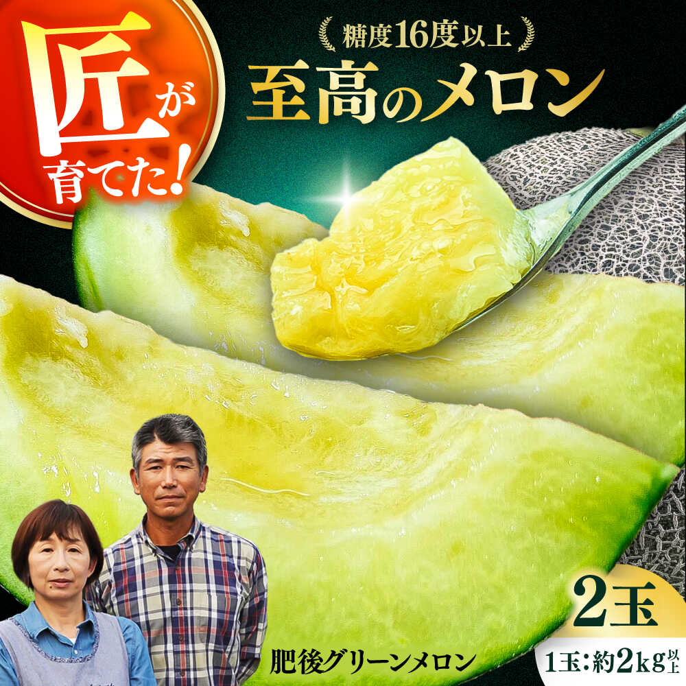 【ふるさと納税】【先行予約】 山鹿の恵み 匠の育てた　肥後グリーン メロン 約4kg以上（約2kg以上×2玉）【きもと農園】[ZFQ001]