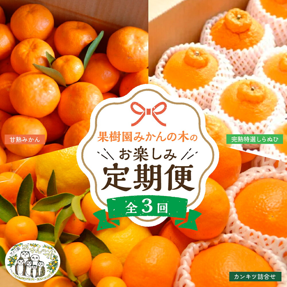 【ふるさと納税】「果樹園みかんの木」のお楽しみ3回定期便コース　みかん ミカン 蜜柑 温州みかん 完熟みかん 柑橘 不知火 しらぬひ でこぽん デコポン 贈答品 定期便 詰め合わせ 佐賀県 太良町 Q45x1 【2026年11月下旬-2027年5月上旬発送予定】