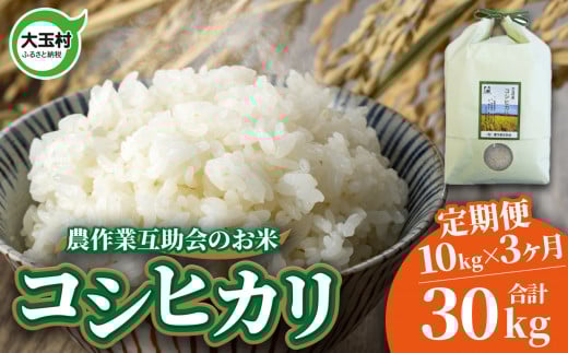 米 定期便 コシヒカリ 30kg ( 10kg × 3ヶ月 ) 福島県 大玉村 農作業互助会 ｜  白米 こめ こしひかり 精米 定期 3回 コメ ｜ gj-kh10-t3-R7