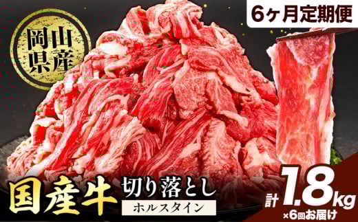 【6ヶ月定期便】牛肉 肉 国産牛 切り落とし ホルスタイン 大容量 小分け 1.8kg(300g×6)《お申込み月の翌月から出荷開始》岡山県産 岡山県 矢掛市 お肉 にく カレー 牛丼 牛肉 切り落し 小分け 切落し 牛肉 小分け 牛肉