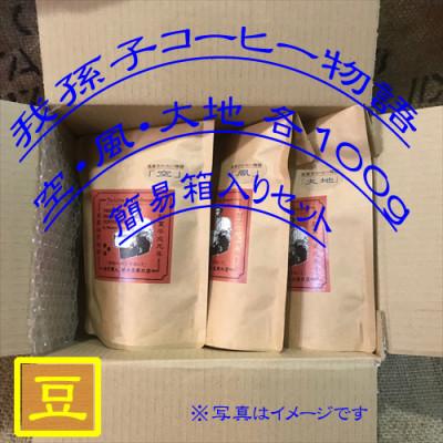 ふるさと納税 我孫子市 豆のまま『我孫子コーヒー物語　空・風・大地』各100g/合計300g入りセット
