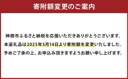 G-14 吉原玉子カステラセット たまご 50個 ＆ カステラ ハーフサイズ 2個 卵 カステラ