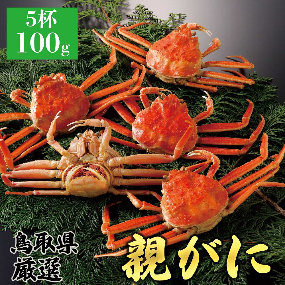 1065.【2025年12月発送】鳥取県産 特撰 親がに 姿【セコガニ】（茹）100g 5杯 313726_BS067