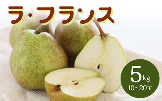 ラ・フランス 5kg  なし ナシ 梨 デザート フルーツ 果物 くだもの 果実 食品 山形県 FSY-2897
