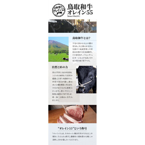 鳥取和牛オレイン55　肩ロースしゃぶしゃぶすき焼き　300g  1265