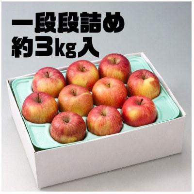 レビュー評価★4.5の訳ありりんご「サンふじ」。お試しサイズ3kgが登場!!人気のフルーツ  果物【配送不可地域：離島】