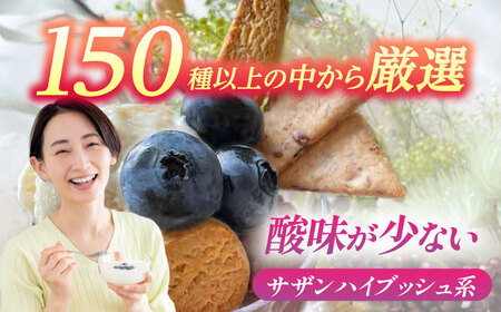 あいさい彩ベリー（ブルーベリー冷凍果実）250g×2パック プレミアムブルーベリー 産地直送ブルーベリー 愛知県産ブルーベリー 愛西産ブルーベリー 国産ブルーベリー 果物 フルーツ 冷凍ブルーベリー 