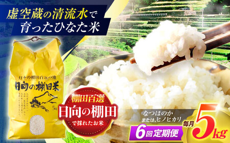【6回定期便】米 ひなた米 5kg [OCM046]