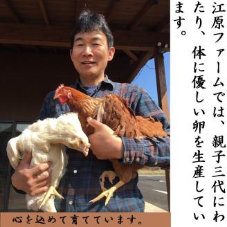 AG21_【定期便12か月】江原ファーム　地養卵＆アローカナハーフセット（30個）