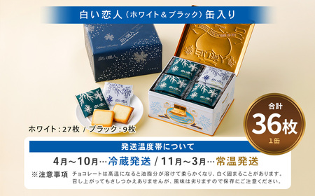 白い恋人 36枚缶入 (ホワイト:27枚、ブラック:9枚) ラングドシャ クッキー チョコ お菓子 おやつ 北海道 北広島市
