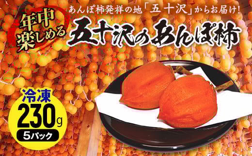 年中楽しめるあんぽ柿230g×5パック（冷凍）  加工品 食品 F20C-737