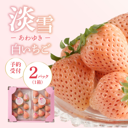 ★予約受付★杉山いちご農園 白いちご「淡雪（あわゆき）」2026年1月～5月中に順次配送 ／ 送料無料 白苺 さがほのか 淡雪 あわゆき 希少 果物 くだもの フルーツ デザート 予約受付