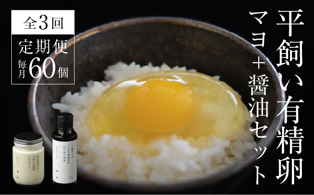 【全3回定期便】平飼い有精卵 60個 ＋オリジナルマヨネーズ＆だし醤油セット《西粟倉村》【株式会社点々】t-SS-BpEA
