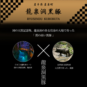 龍泉洞黒豚 生粋 生ハンバーグ 150g×5個 (合計750g) (DV026) 岩手県産 龍泉洞黒豚使用 生ハンバーグ 小分け 冷凍パック