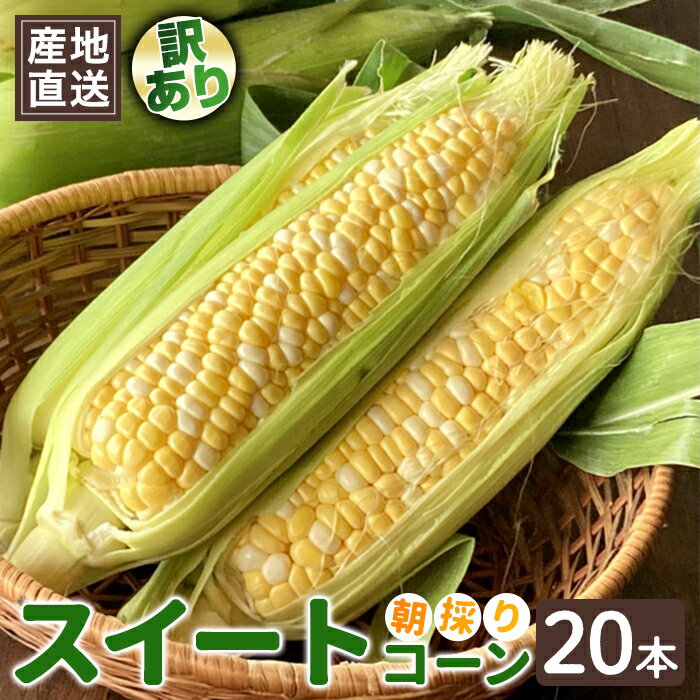 【ふるさと納税】【先行予約】訳あり とうもろこし スイートコーン 20本 品種おまかせ 朝採り 旬の味覚 新鮮 コーン 先行予約 産地直送 【常陸大宮さんち農園】【ho1592】