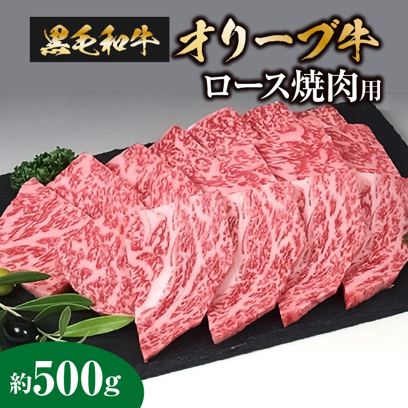 M18-0018_【ふるさと納税】黒毛和牛 オリーブ牛 ロース 焼肉用 約500g [ 国産 ブランド牛 讃岐牛 牛肉スライス 小分け 冷凍 贅沢焼肉 ごちそう肉 贈り物 お取り寄せグルメ ギフト 冷凍保存 BBQ 冷凍 送料無料 三豊市 30000 30 台 返礼品 サヌキ畜産フーズ ]