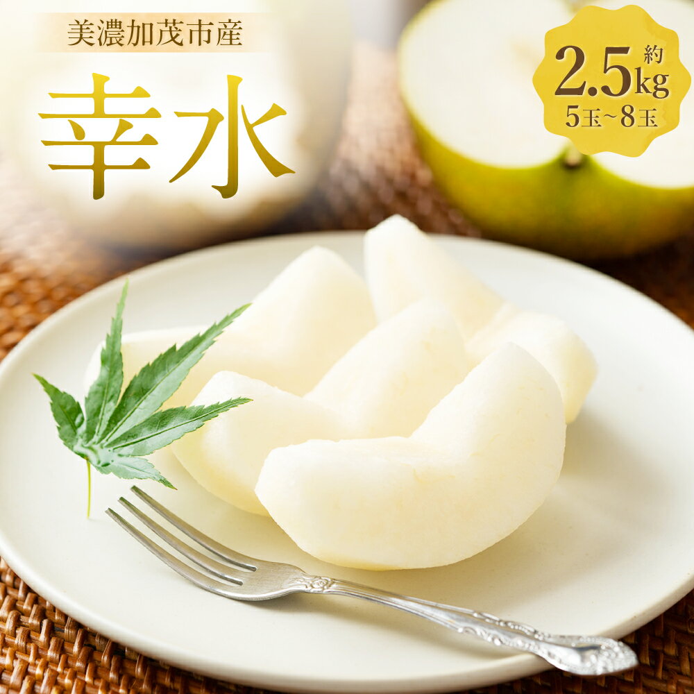 【ふるさと納税】【レビューキャンペーン対象商品】《先行予約》「山之上果実農業協同組合」山之上の梨 幸水 1箱 約2.5kg（5～8玉） くだもの 果物 果実 フルーツ 梨 なし 冷蔵 岐阜県産 国産 岐阜県 美濃加茂市 送料無料 【2025年8月上旬～8月下旬発送予定】