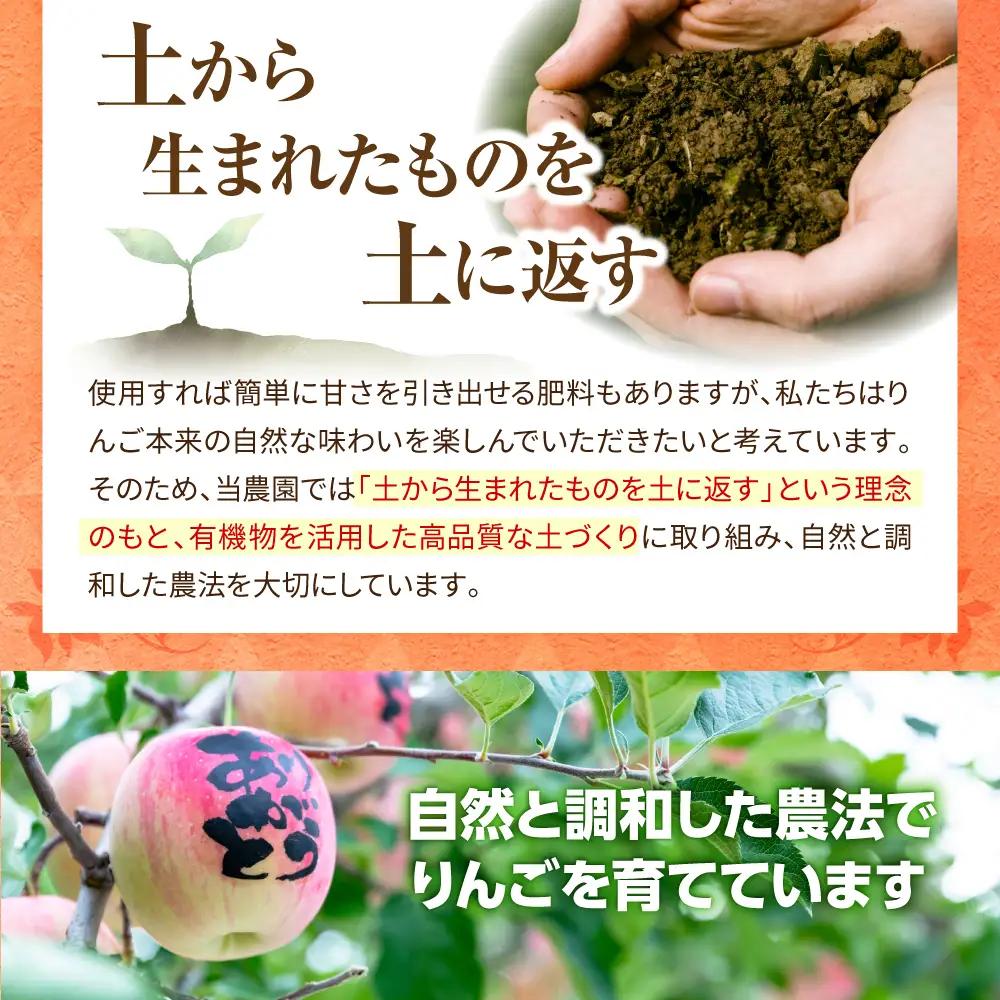 ぐんま名月　【先行受付】 りんご 約5kg訳あり 青森県五所川原市 11月中旬以降発送 ぐんま名月