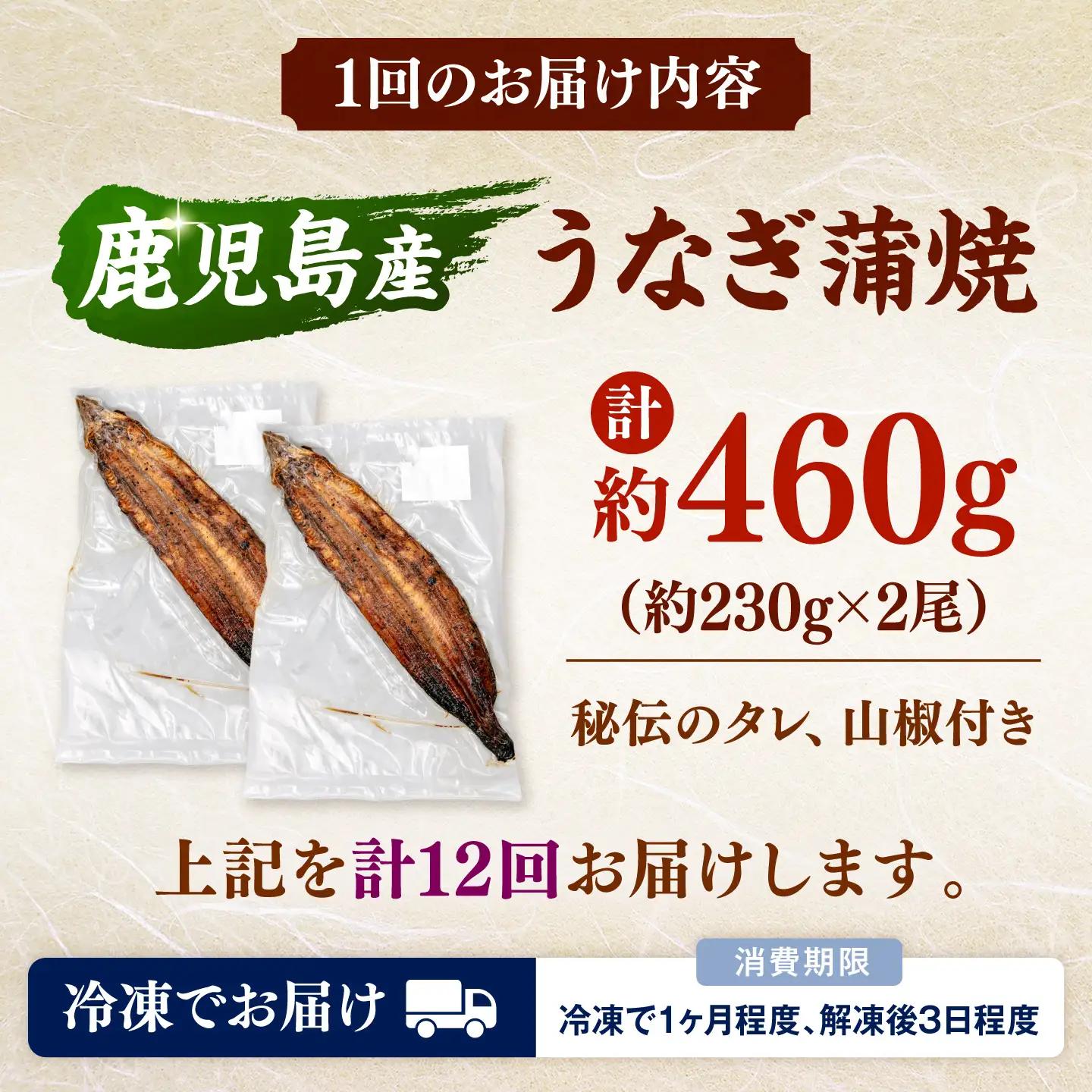 全12回定期便 特大！ 鹿児島産 うなぎ 蒲焼2尾セット 桂川町/山水商事 [ADAH014] ウナギ ウナギの蒲焼 ウナギ 国産ウナギ 定期便