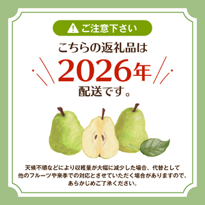【令和8年産 先行予約】山形 ラ・フランス 家庭用（訳あり）5kg 山形県 東根市 hi069-020　（ラフランス ラ・フランス 洋梨 洋ナシ フルーツ 果物 くだもの 産地直送 期間限定 特産品 