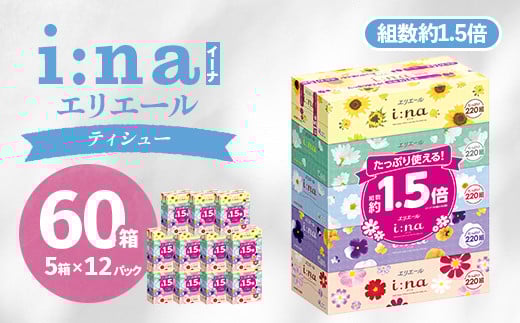 ＜津山工場限定＞エリエール i:na(イーナ)ティシュー 220組5箱×12パック(60箱)【1515019】